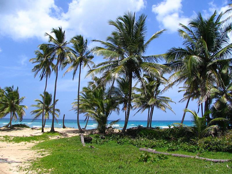 Dominican Republic (65).jpg